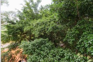 Image 2 - 854821