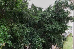 Image 15 - 854821