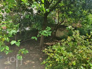 Image 8 - 854962