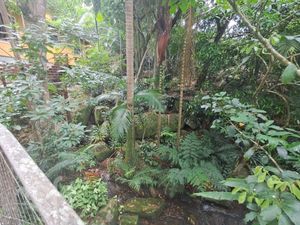 Image 7 - 854968