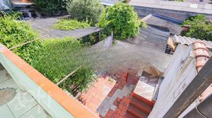 Image 4 - 854994
