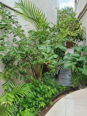 Image 18 - 855344