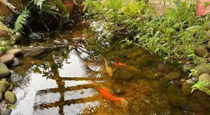 Image 28 - 855373
