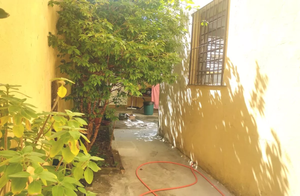 Image 5 - 855528
