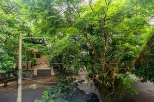 Image 13 - 855590