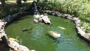 Image 19 - 855612