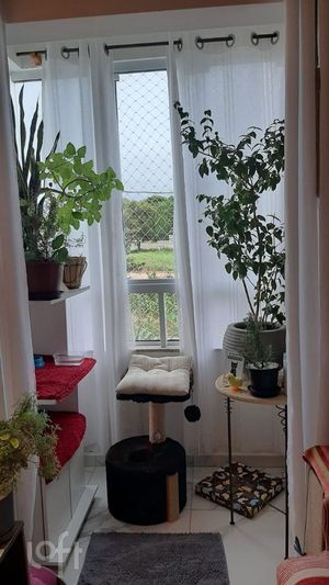Image 10 - 855654