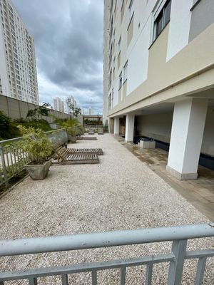 Image 31 - 855888