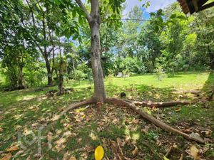 Image 40 - 856239