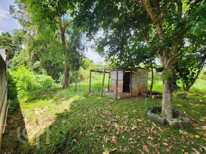 Image 41 - 856239