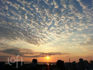 Image 31 - 856282