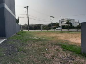 Image 3 - 856308