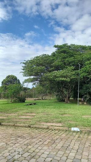 Image 29 - 856548