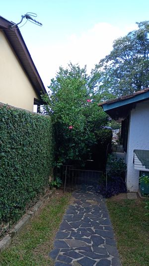Image 20 - 856647