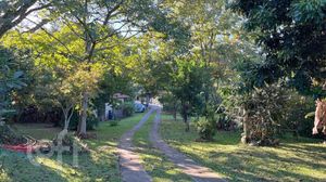 Image 36 - 856712