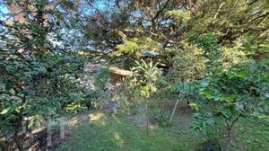 Image 42 - 856712