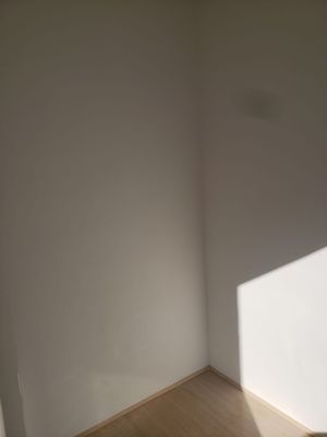 Image 10 - 856727