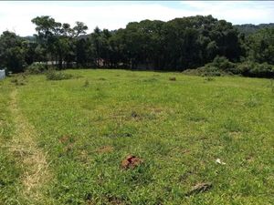 Image 4 - 856953