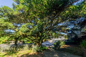 Image 31 - 857366