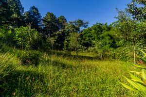 Image 40 - 857366