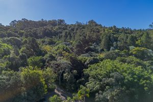 Image 45 - 857366