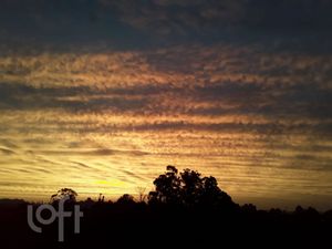 Image 25 - 857481