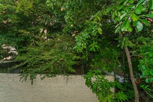 Image 7 - 857977