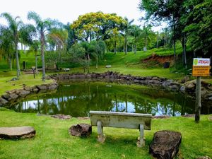 Image 5 - 858293