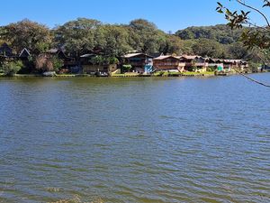 Image 7 - 858293