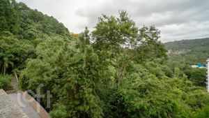 Image 52 - 858299