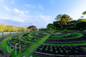Image 82 - 858651