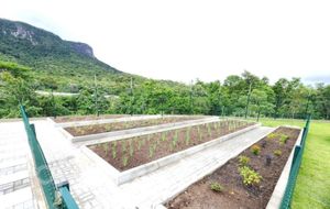 Image 22 - 858783