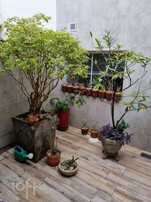 Image 19 - 858802