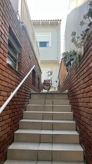 Image 1 - 858939