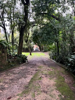Image 10 - 859889
