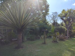 Image 17 - 859990