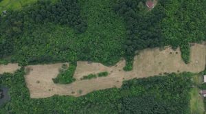 Image 2 - 861002