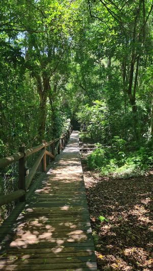 Image 12 - 861052