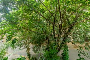 Image 19 - 861091