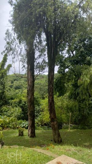 Image 28 - 861697