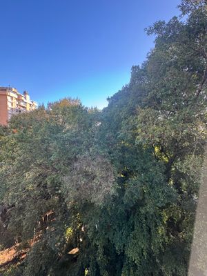 Image 17 - 861811
