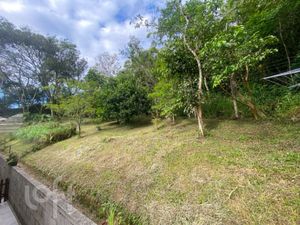 Image 50 - 861927