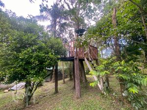 Image 7 - 861927