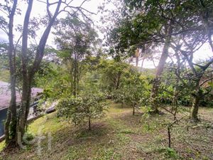 Image 52 - 861927