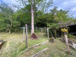 Image 48 - 861927