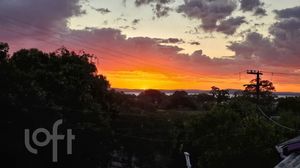 Image 8 - 862116