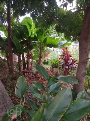 Image 29 - 862162