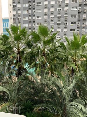 Image 18 - 862265