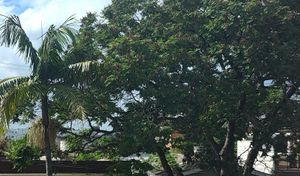 Image 11 - 862487