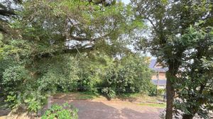 Image 31 - 862868